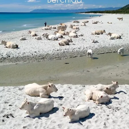 La Grazia In Qualche Modo Siniscola