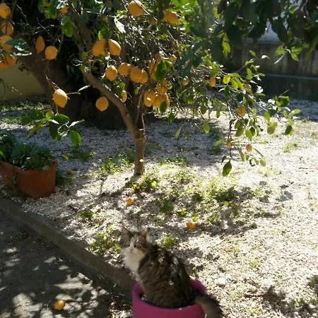 Bed & Breakfast La Grazia In Qualche Modo